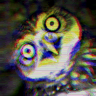 owlsplosion